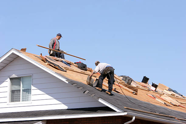 Roof Maintenance in Lodi, OH